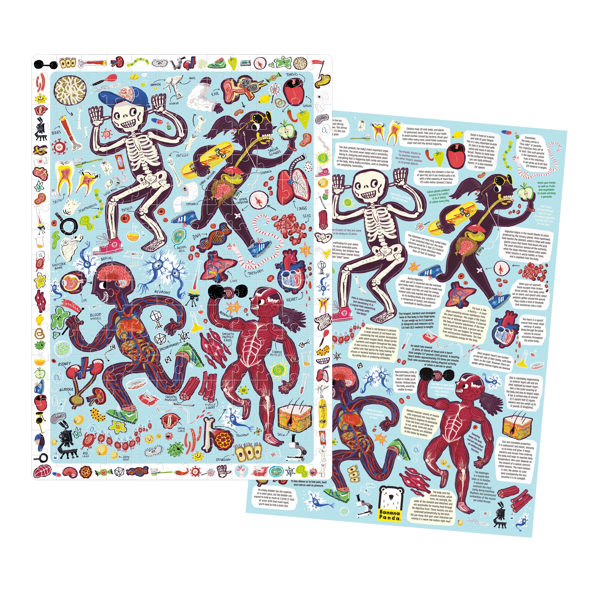 Banana Panda My Body Observation Jigsaw Puzzle - 204 pc - Image 3