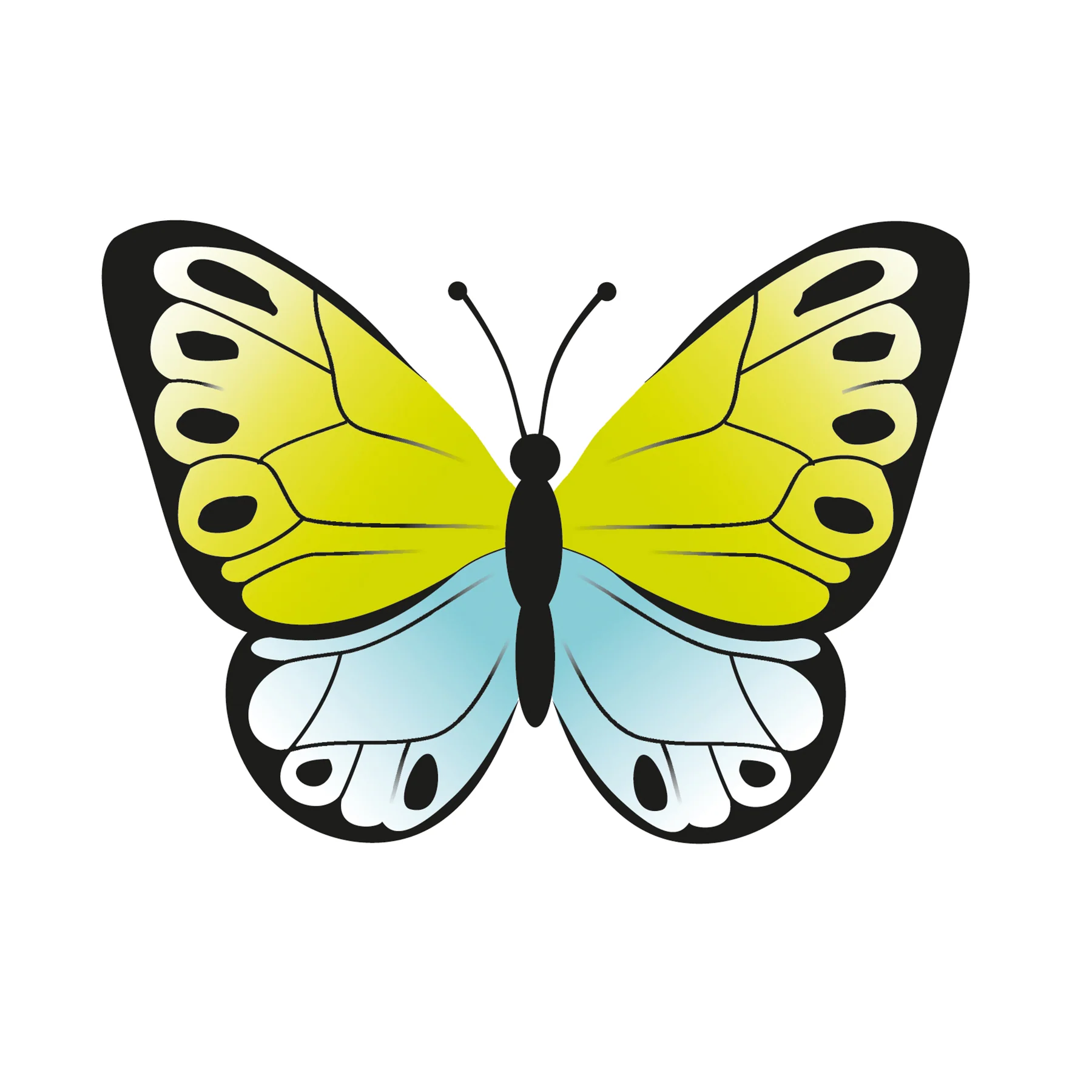 Beleduc Betty Fly Interactive Color Recognition Game - Image 6