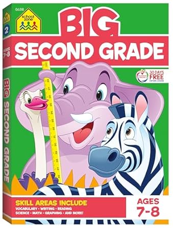 Big Second Grade STEM Learning Workbook With Math, Reading, Science & Writing