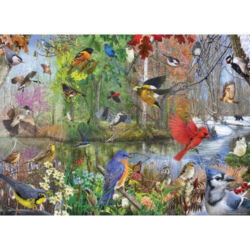 Cobble Hill Bird of the Season 1000pc Jigsaw Puzzle - Image 3