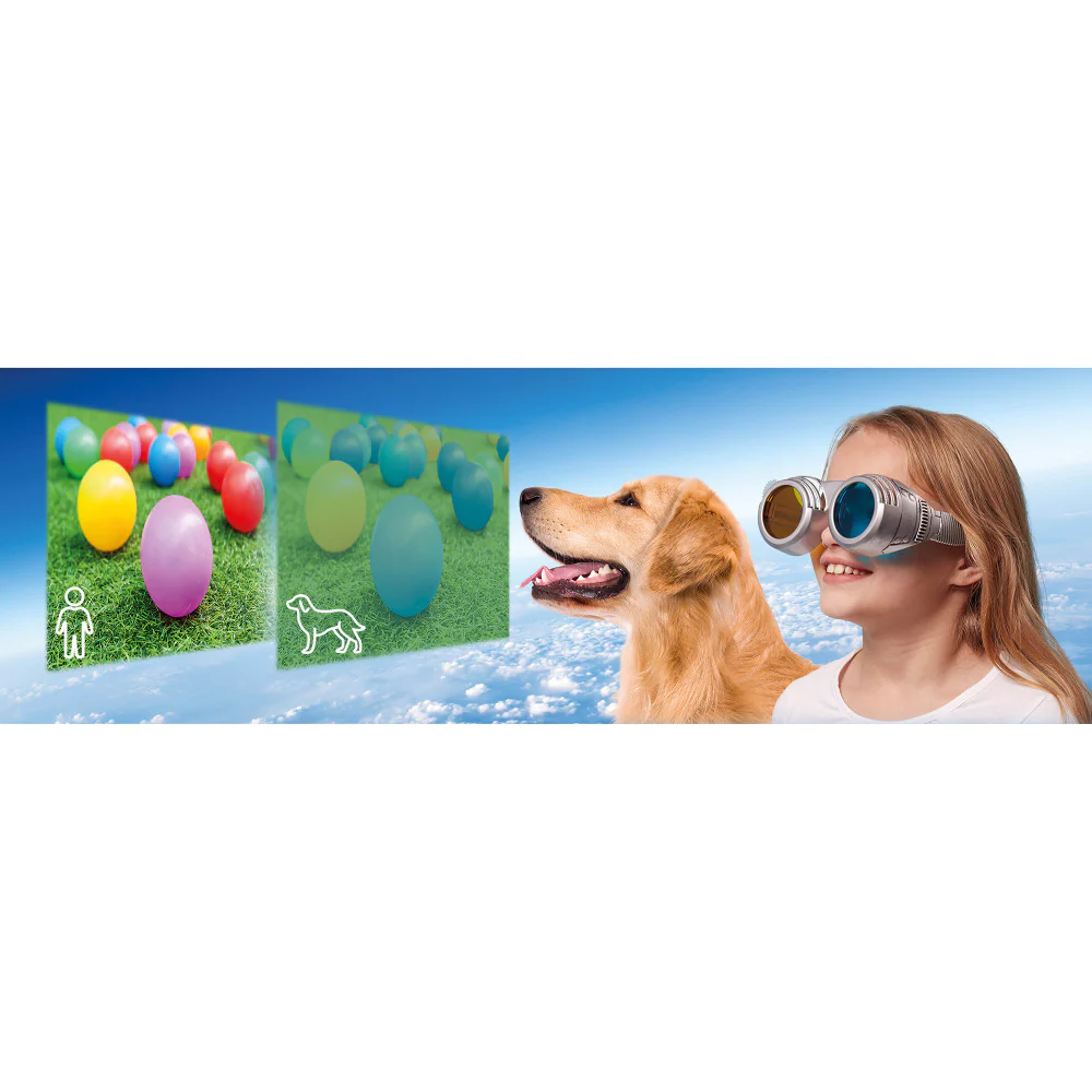 Brainstorm Optical Science Kit - See The World Through Others' Eyes - Image 7