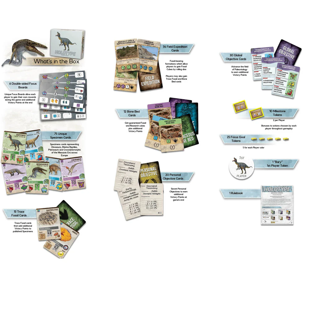 Brexwerx Games: Holotype - Mesozoic Europe Expansion - Paleontology Strategy Board Game - Image 3