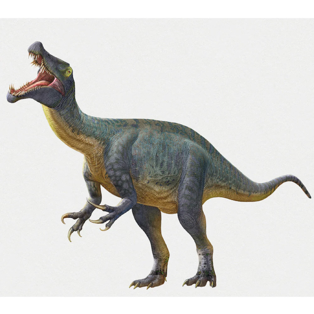 Brexwerx Games: Holotype - Mesozoic Europe Expansion - Paleontology Strategy Board Game - Image 4