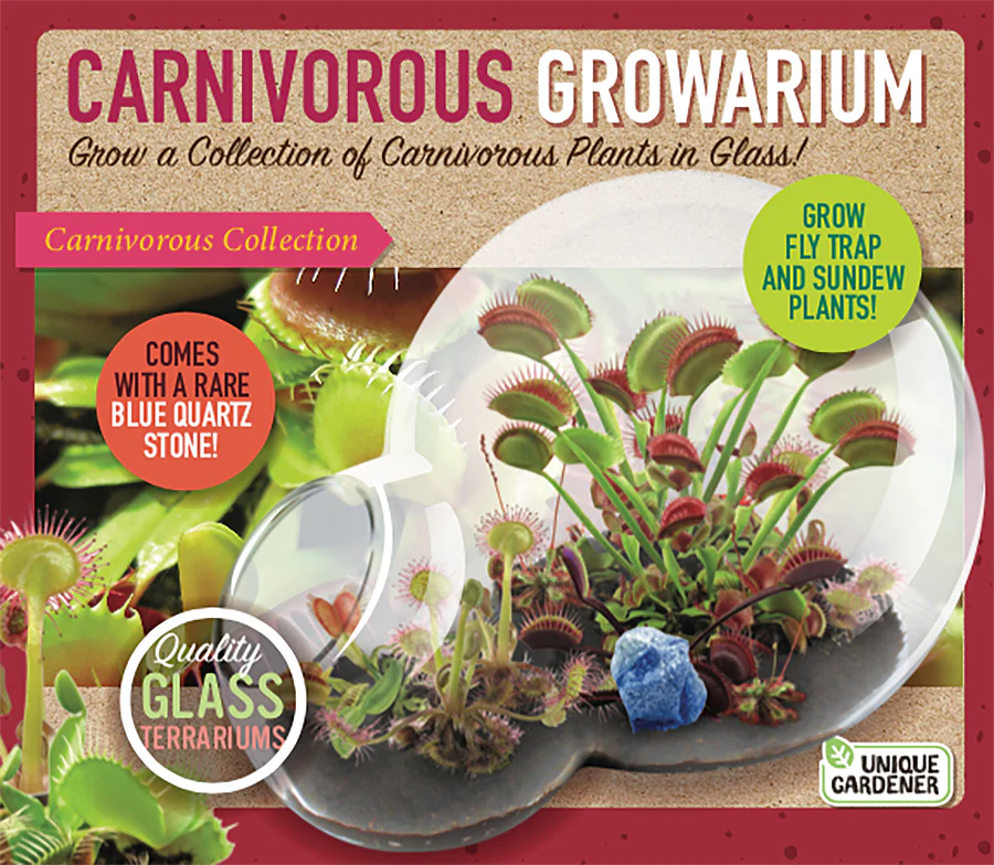 Carnivorous Growarium Deluxe Terrarium Kit for Carnivorous Plants - Image 2