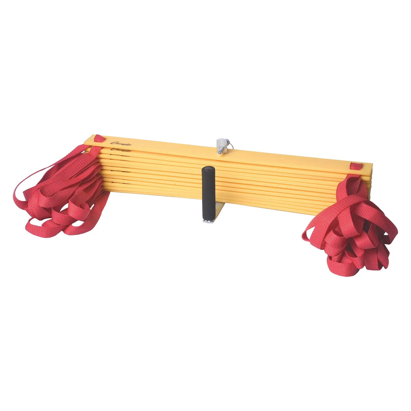 Champion Sports Economy Agility Ladder - Fitness Mastery Tool - Image 2