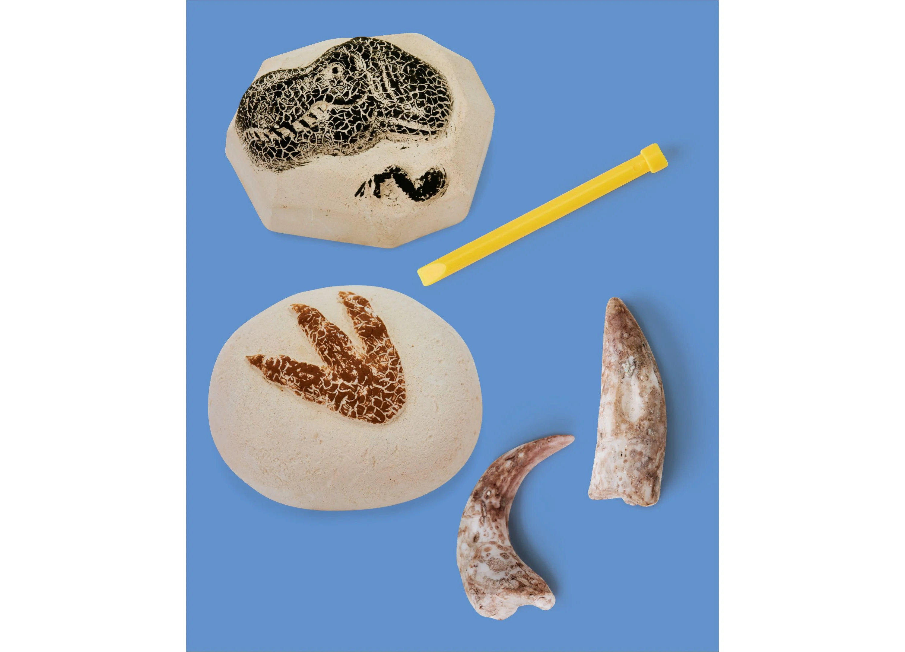 Discovery #MINDBLOWN Dino Fossils Unearthed Excavation Kit 2-Pack - Image 4