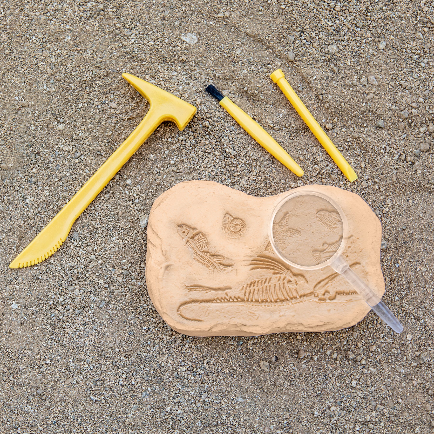 Educational Insights GeoSafari® Jr. Fossil Excavation Kit - Image 6