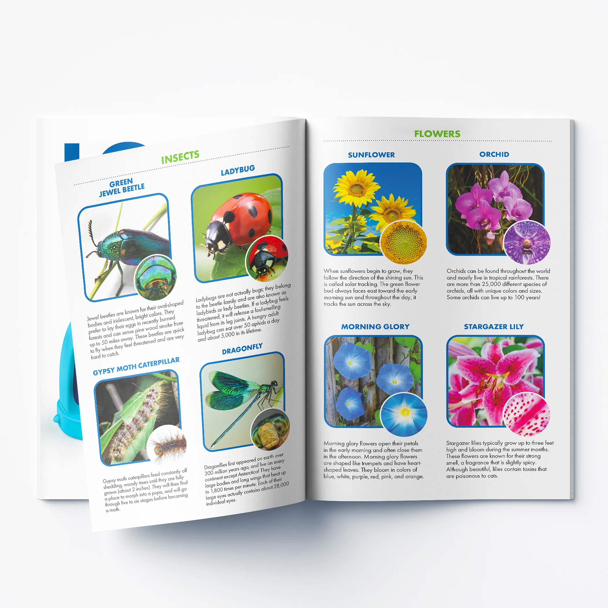 Educational Insights GeoSafari® Jr. Kidscope™ - Image 12