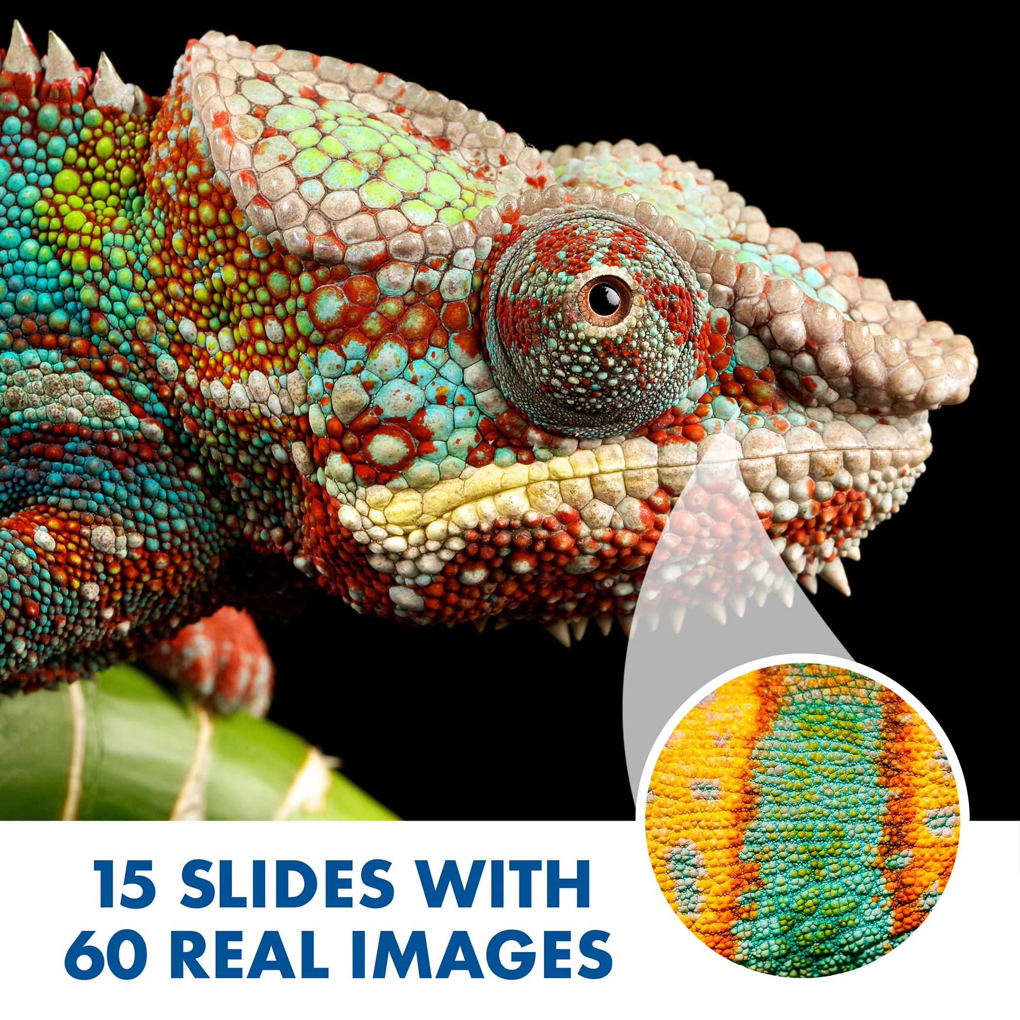 Educational Insights GeoSafari® Jr. Kidscope™ - Image 13