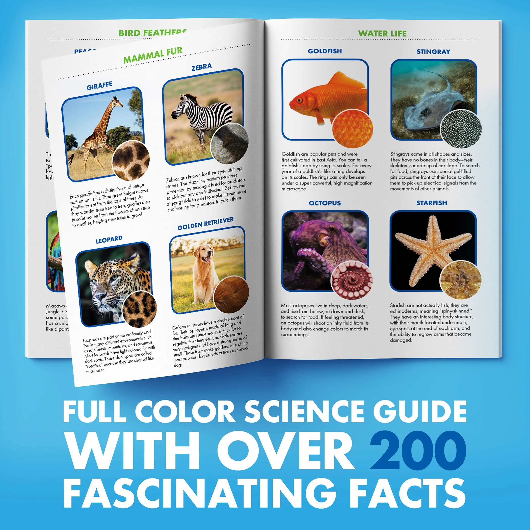 Educational Insights GeoSafari® Jr. Kidscope™ - Image 4