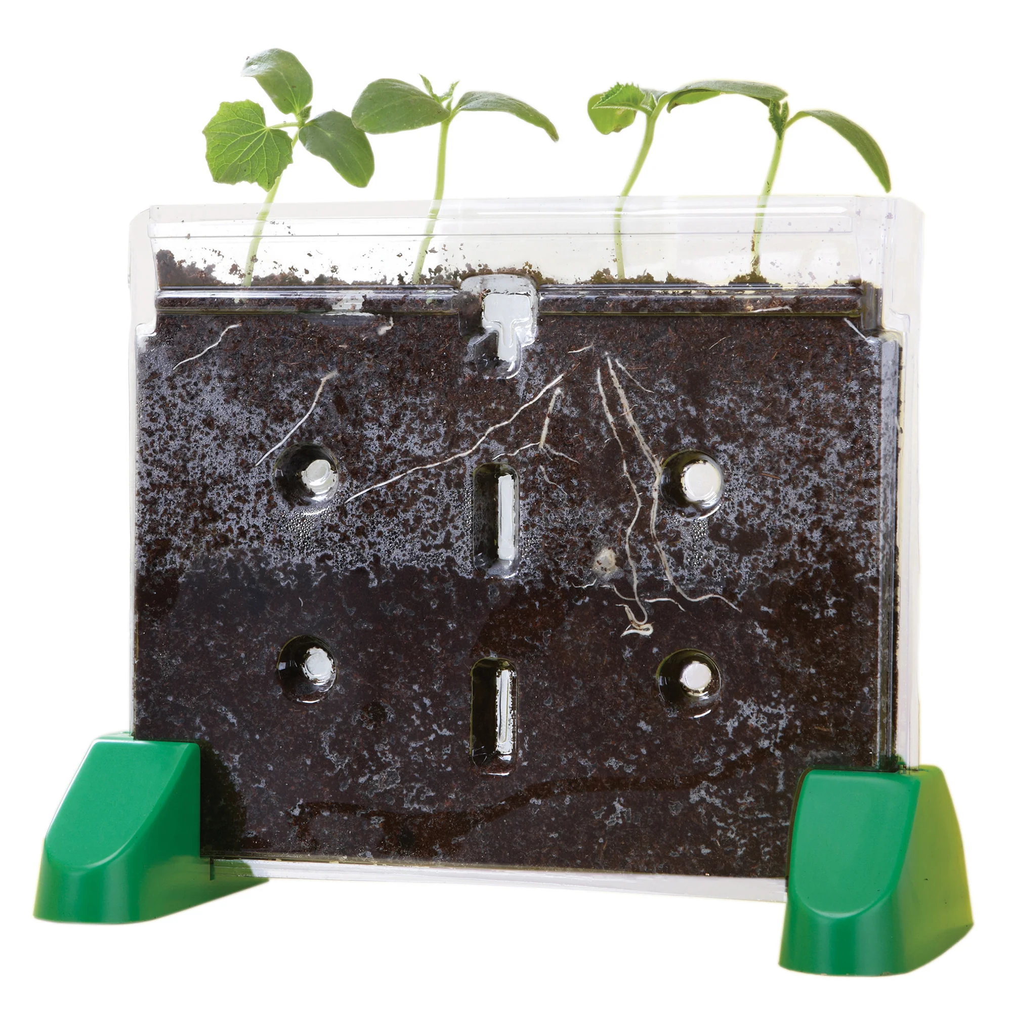 Educational Insights Sprout & Grow Window Plant Science Kit - Image 2