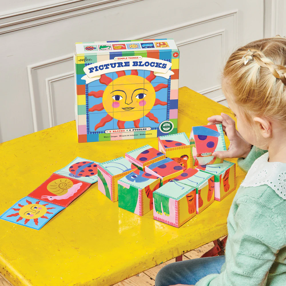 eeBoo Simple Things Picture Blocks - Vibrant 9pc Puzzle Set - Image 4
