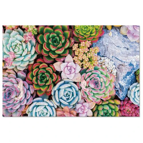 GC Games Vibrant Succulents Jigsaw Puzzle - 1000 pc - Image 2