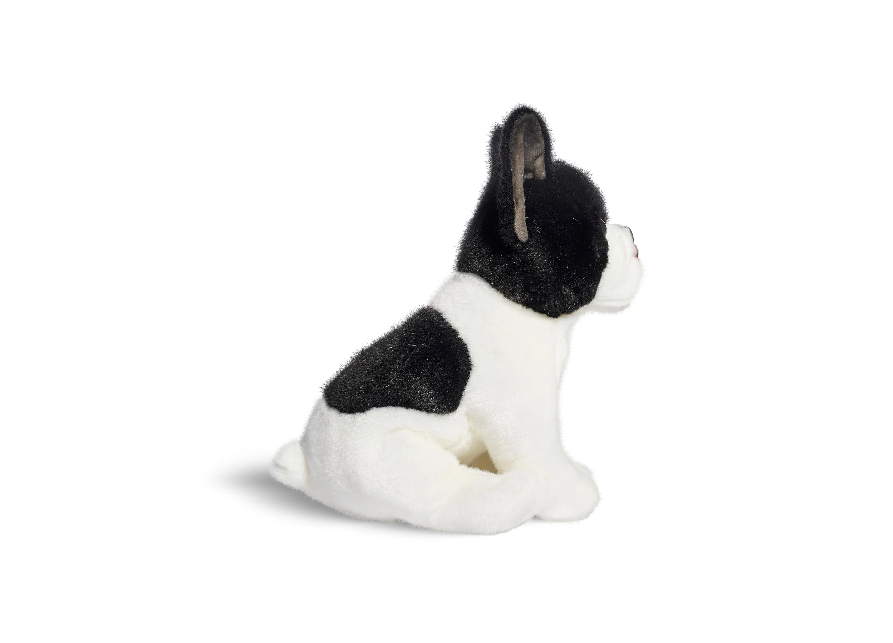 Geoffrey's Toy Box 10 inch Plush French Bulldog Puppy - Exclusive at Macy's - Image 5