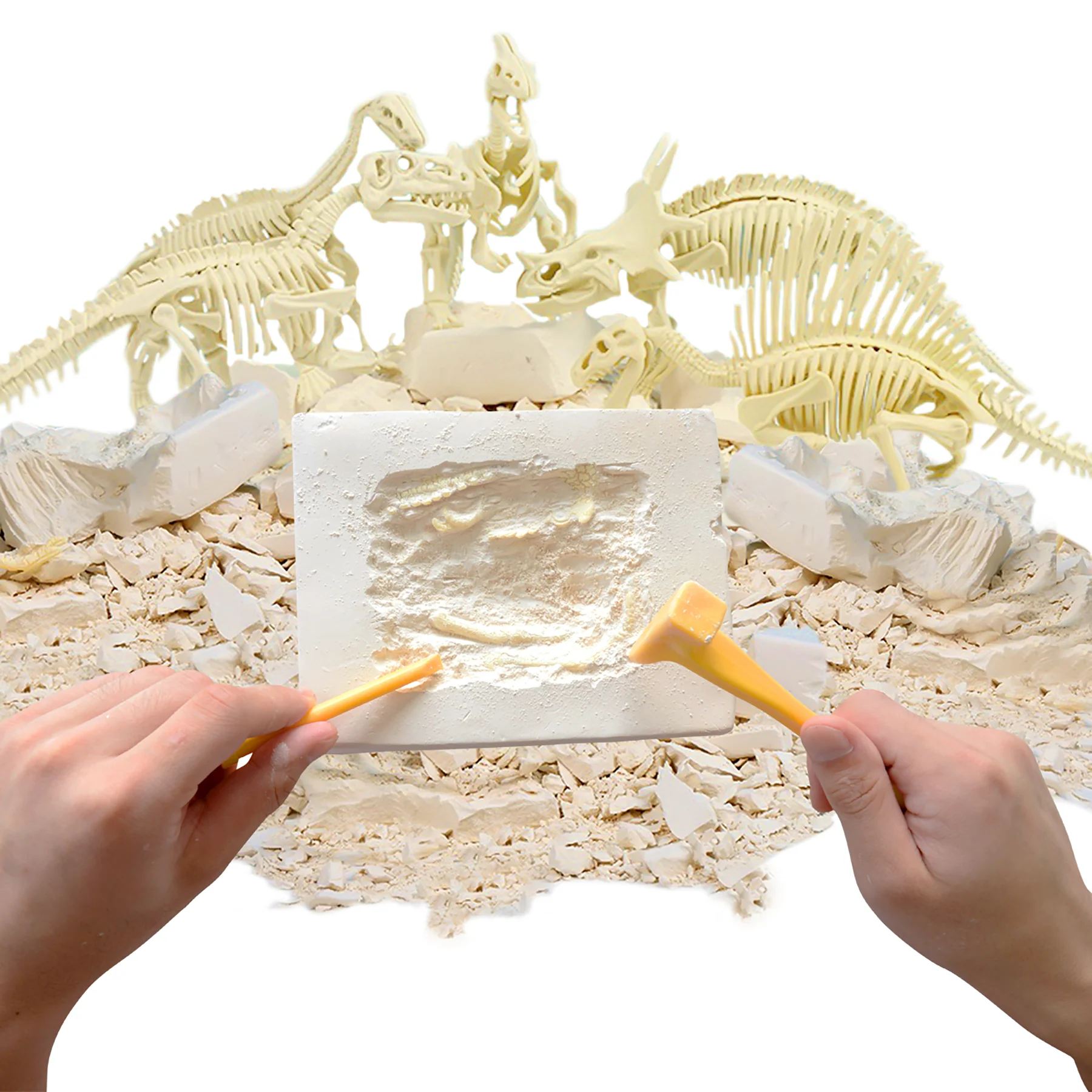 HamiltonBuhl Paleo Hunter T-Rex Dig Kit for STEAM Education - Image 2