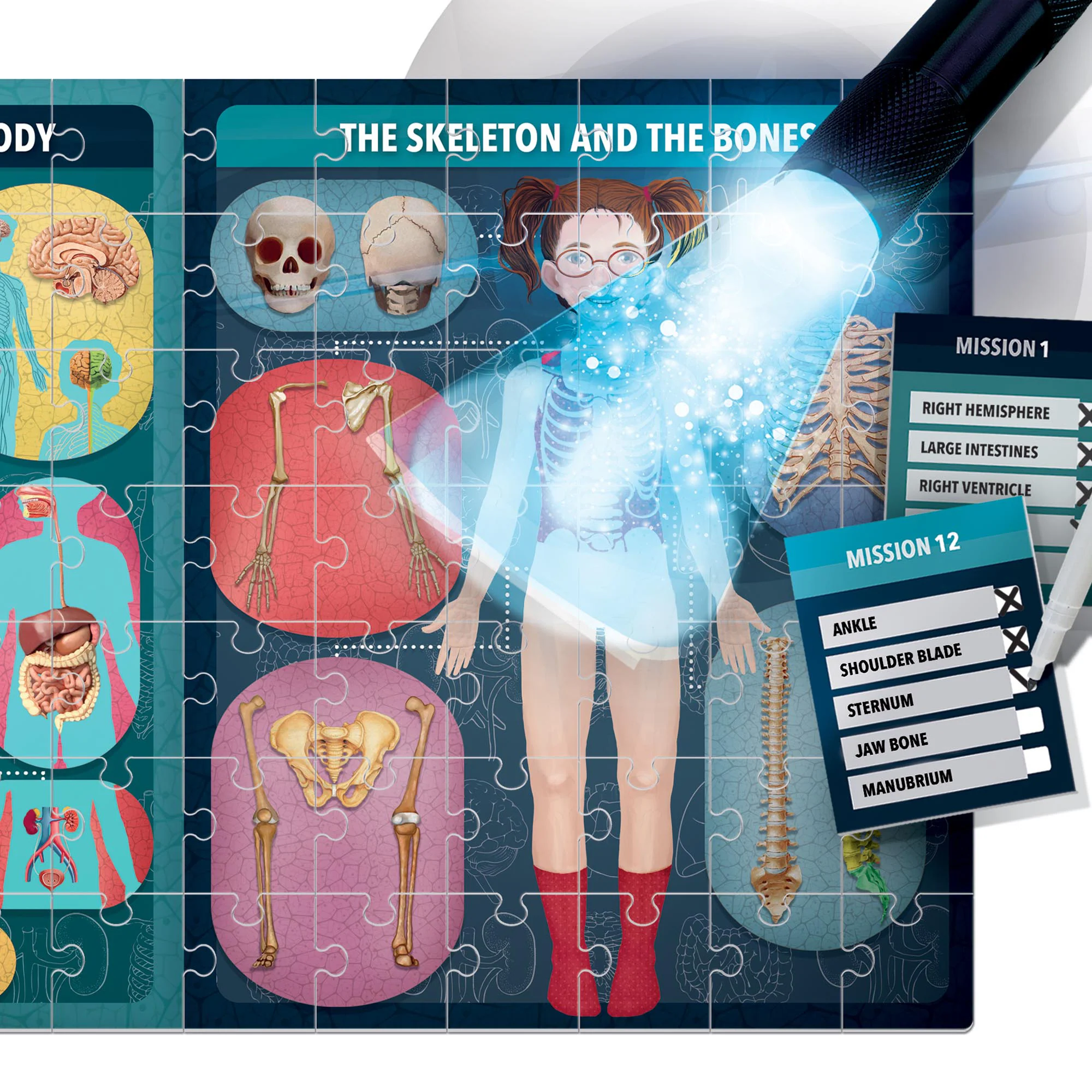 Headu X-Ray Vision Human Body Exploration Kit - Image 4