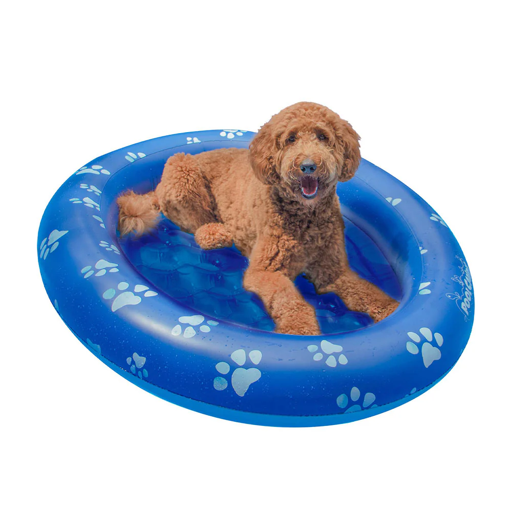 PoolCandy Inflatable Large Dog Pet Float - Durable Canine Pool Lounger