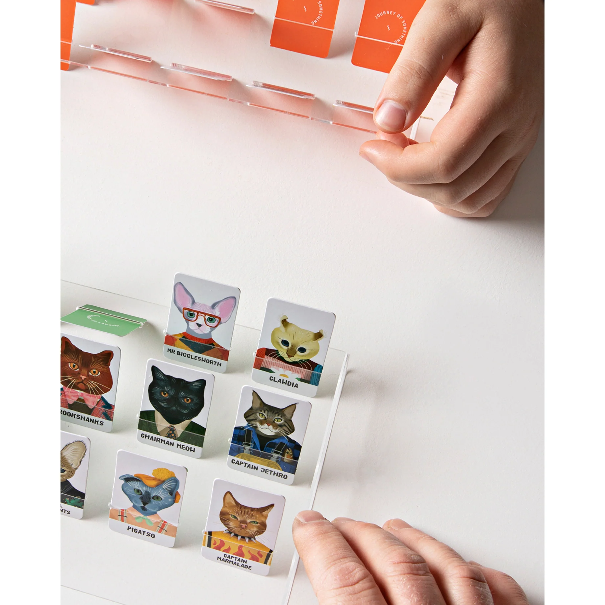 Journey Of Something Guess The Feline Card Game - Image 4