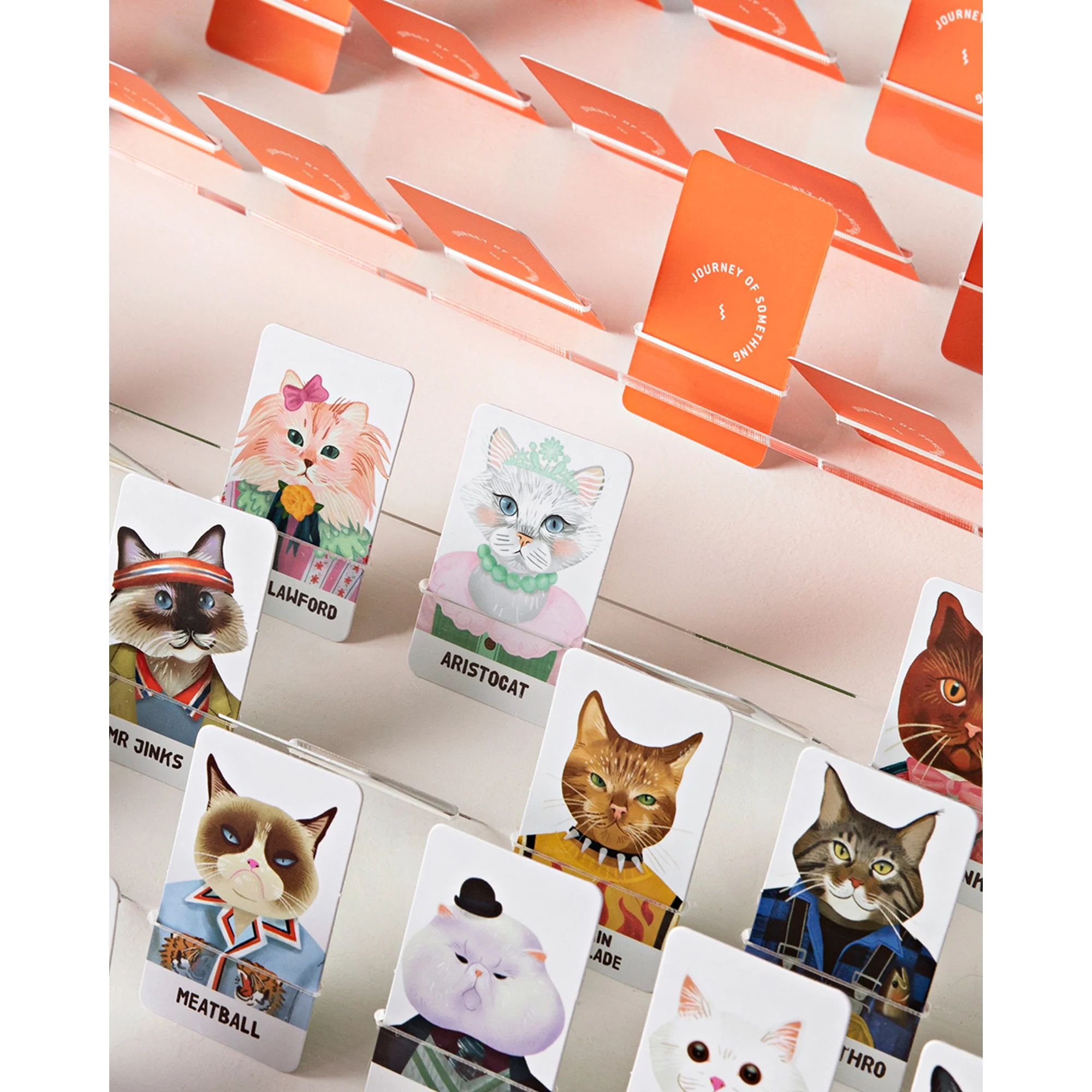 Journey Of Something Guess The Feline Card Game - Image 5