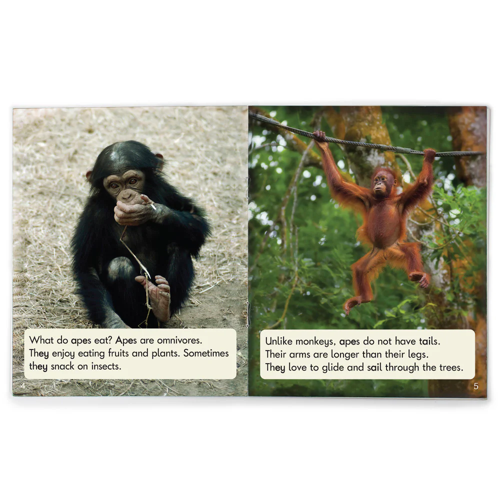 Junior Learning 12-Piece Decodable Readers Set - Long Vowels Non-Fiction - Image 3