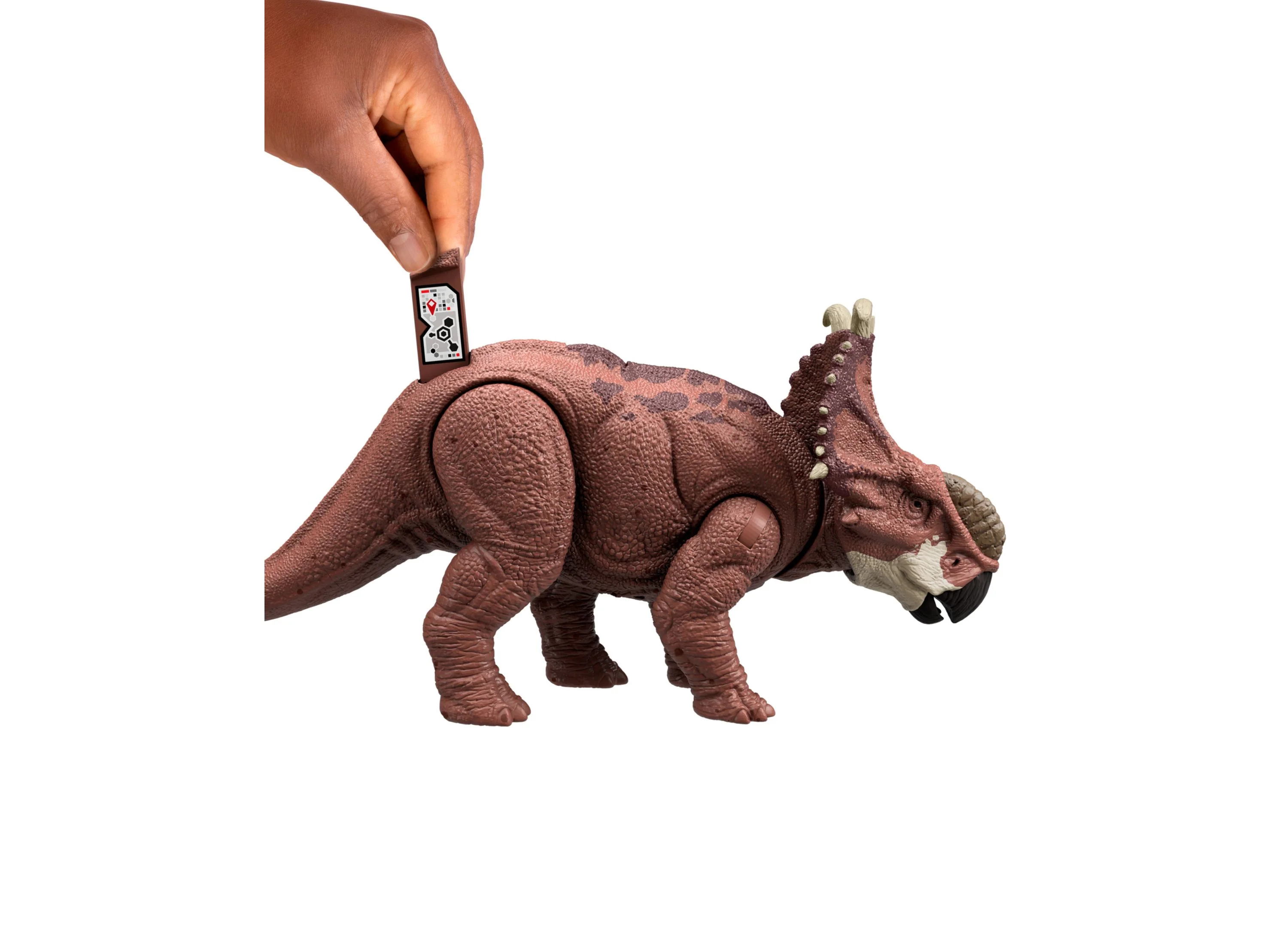 Jurassic Park Wild Roar 10 Inch Action Figure - Pachyrhinosaurus - Image 4