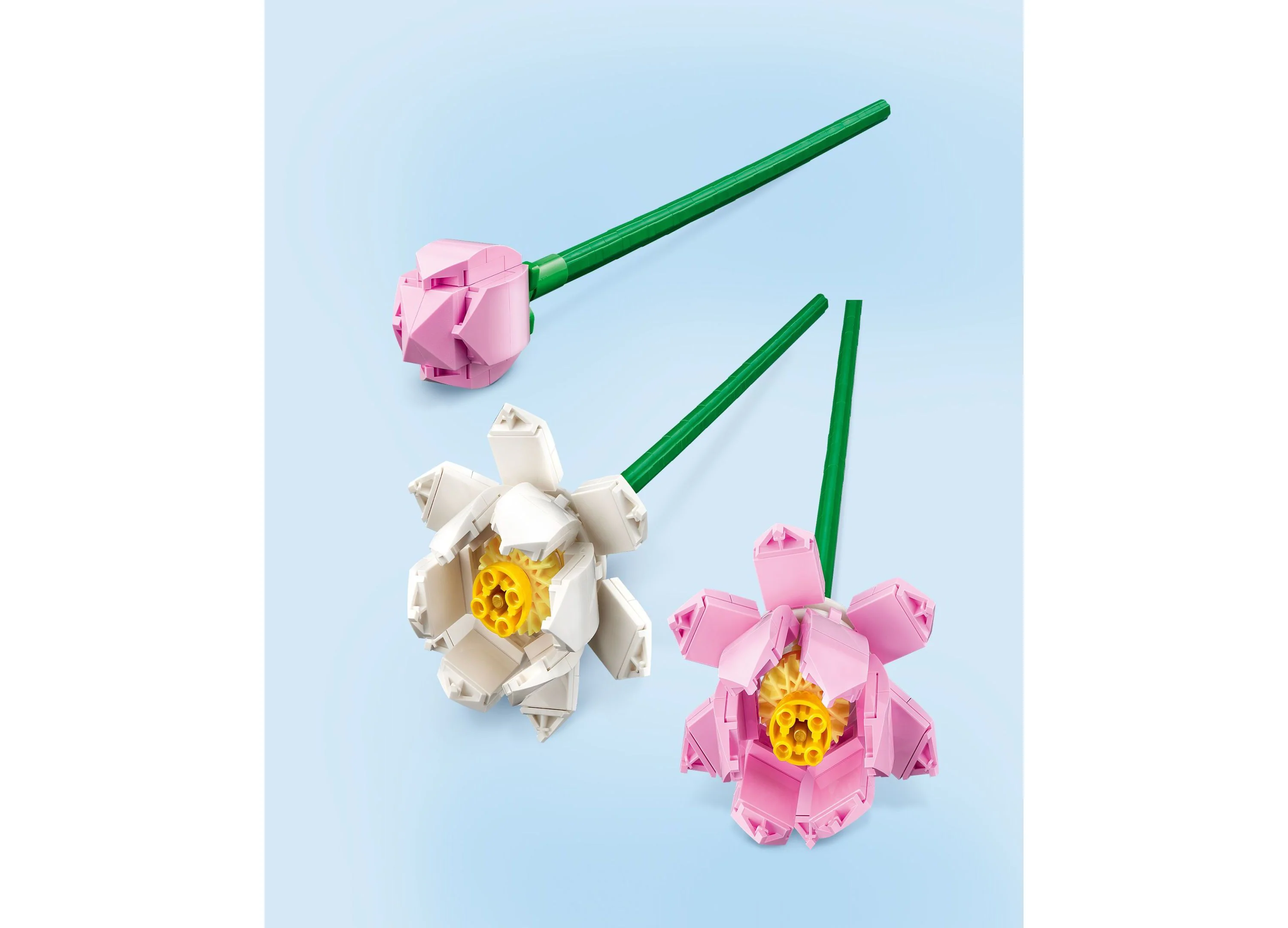 LEGO Lotus 40647 Botanical House Plant Toy Building Set - 220 Pieces - Image 3