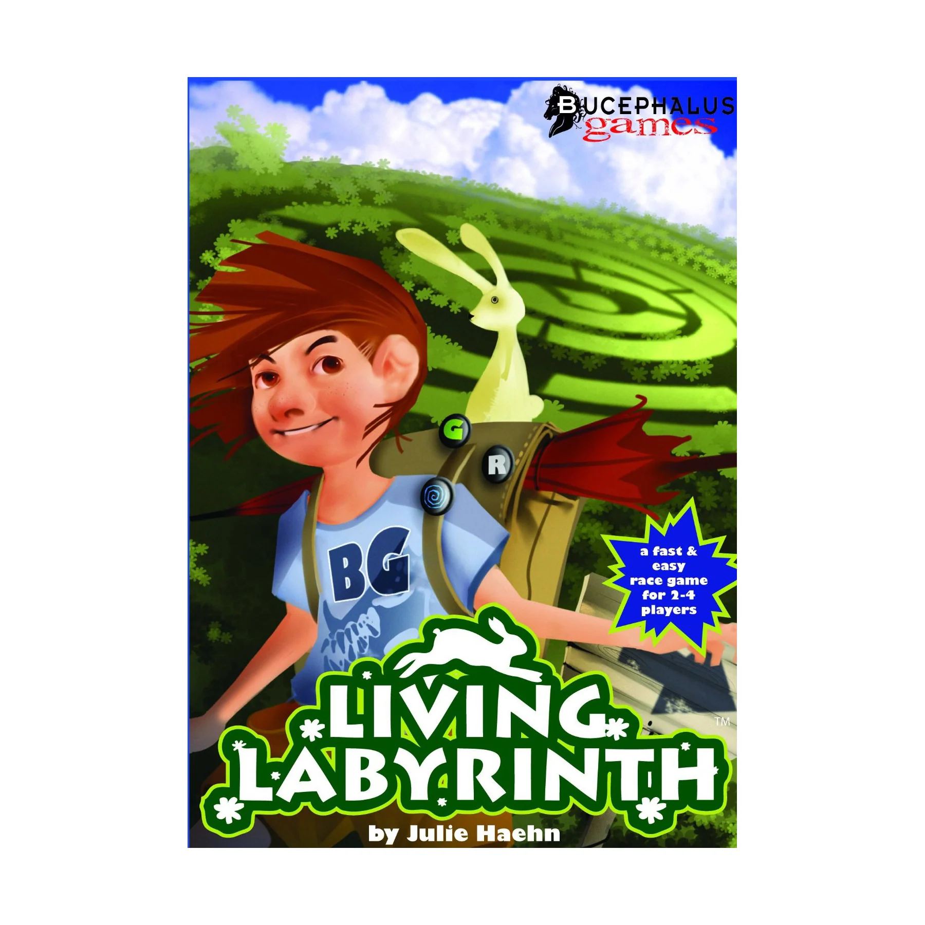 Living Labyrinth Garden Maze Race Game - Image 2