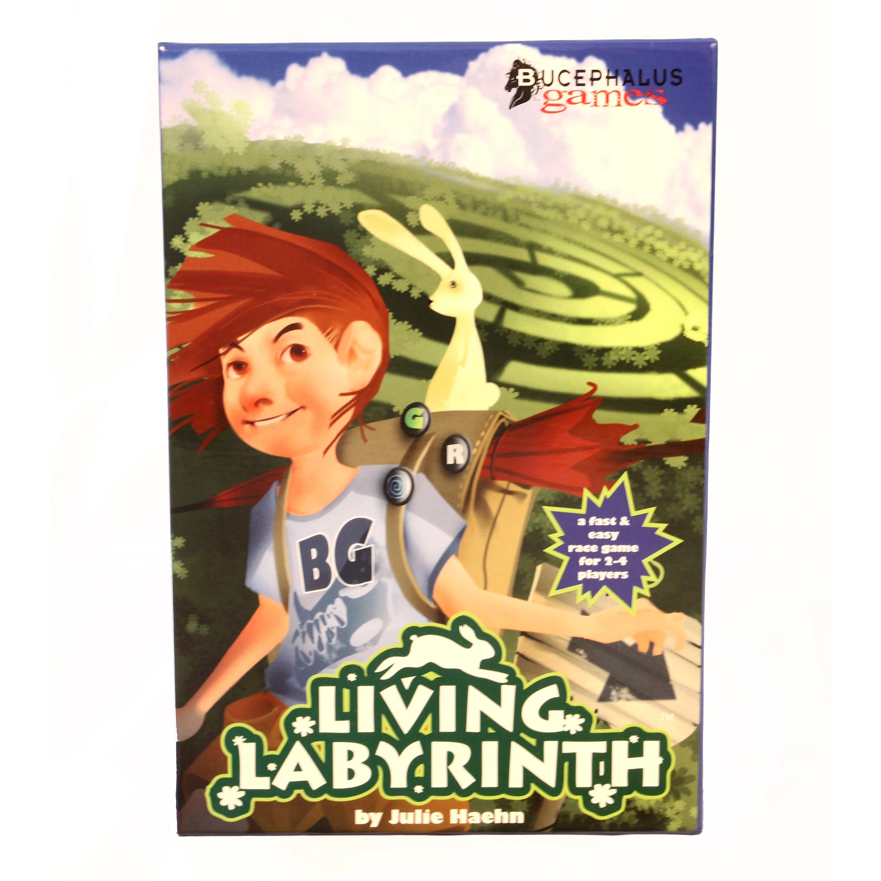 Living Labyrinth Garden Maze Race Game - Image 3