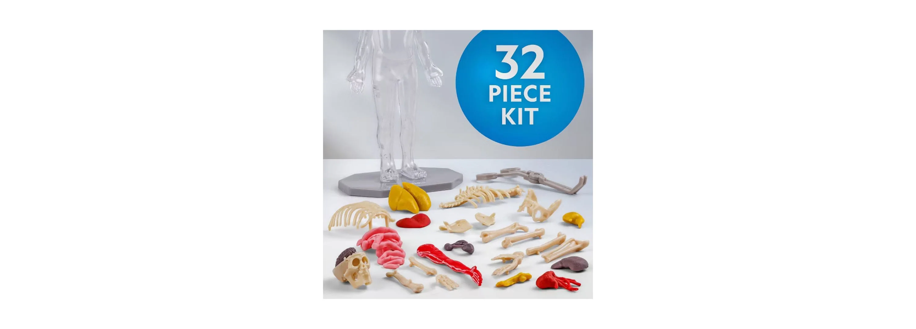 National Geographic Glow-In-The-Dark Human Body Anatomy Kit With 27 Pieces - Image 2