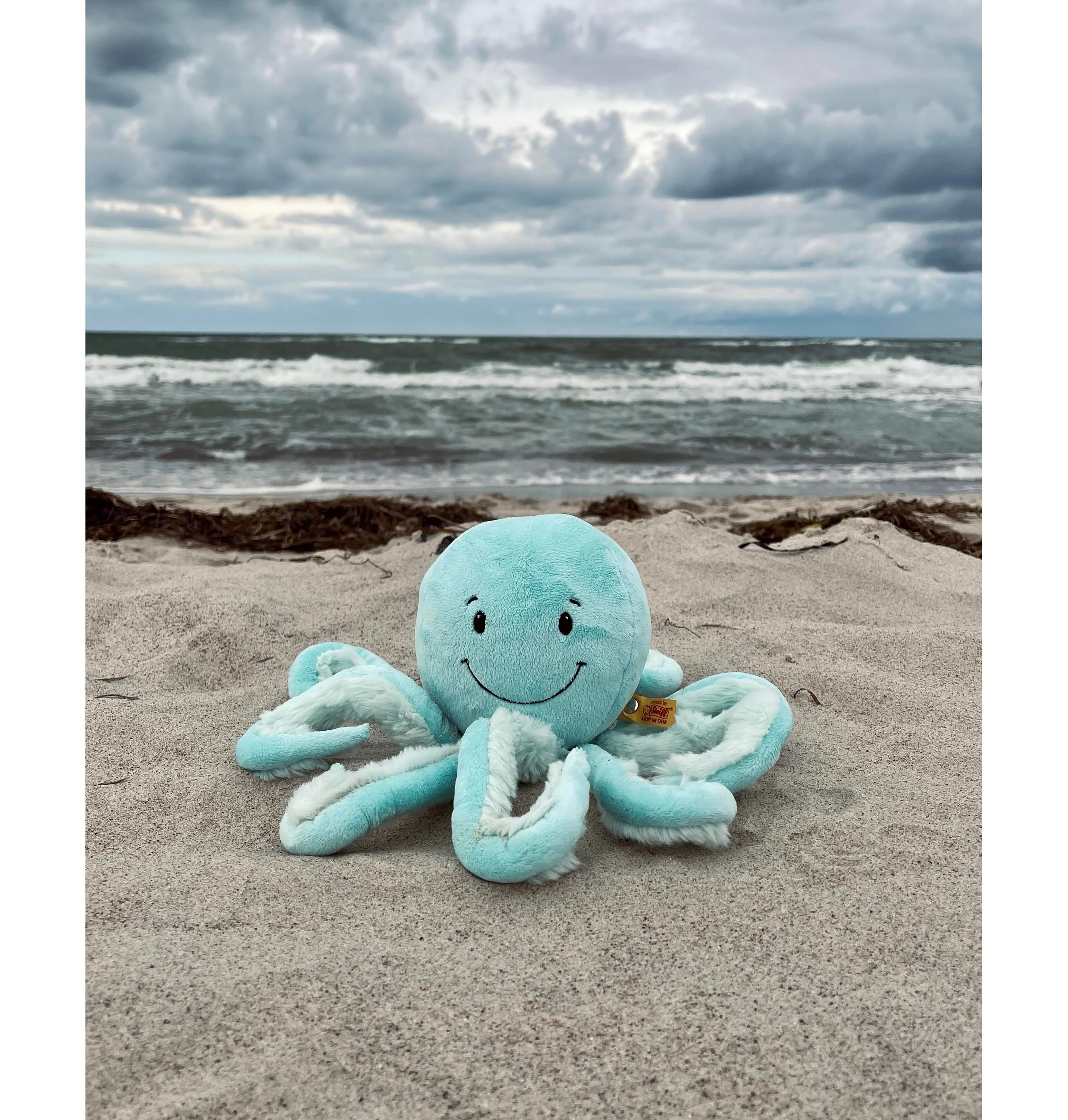 Steiff Ockto Octopus 11 inch Plush Toy - Turquoise Blue - Image 3