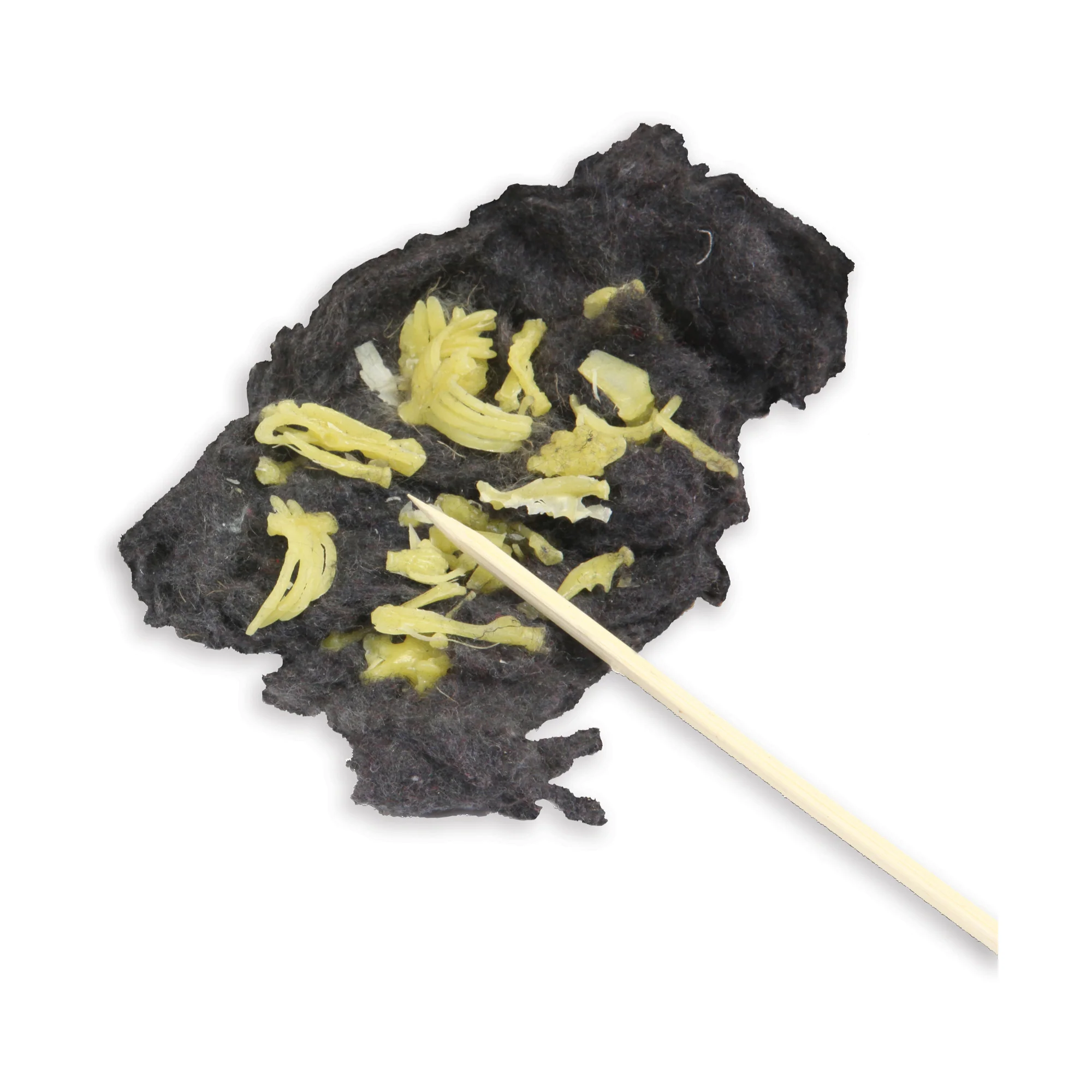 Exploratory Owl Puke Dissection Science Kit - Image 3