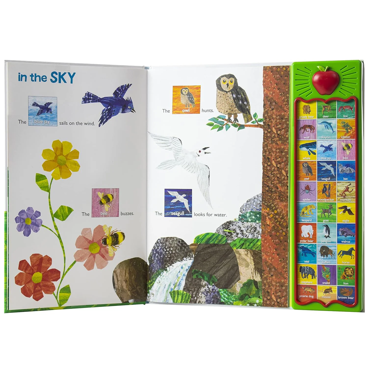 Phoenix International Publications The World of Eric Carle: Hear Bear Roar - Image 3