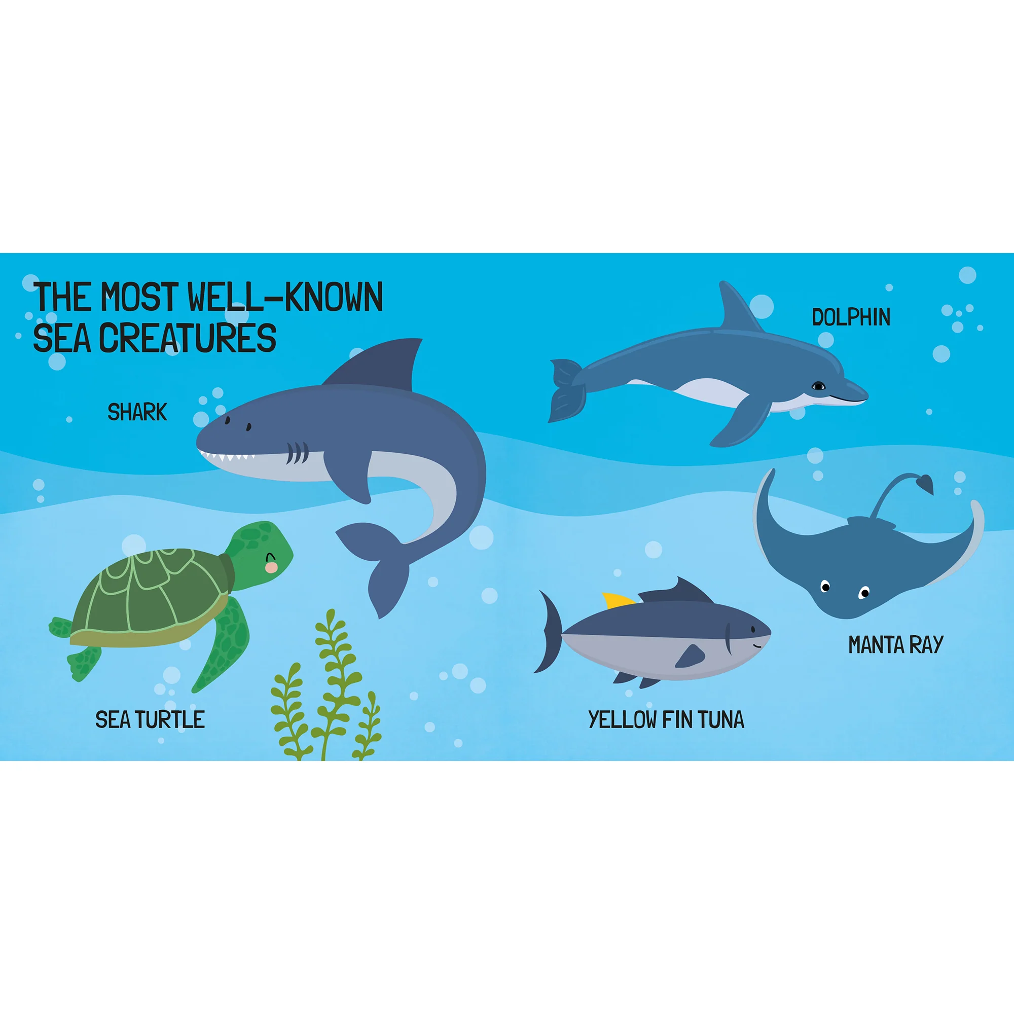 Q-Box Marine Adventure Puzzle Set - 40 pc - Image 3