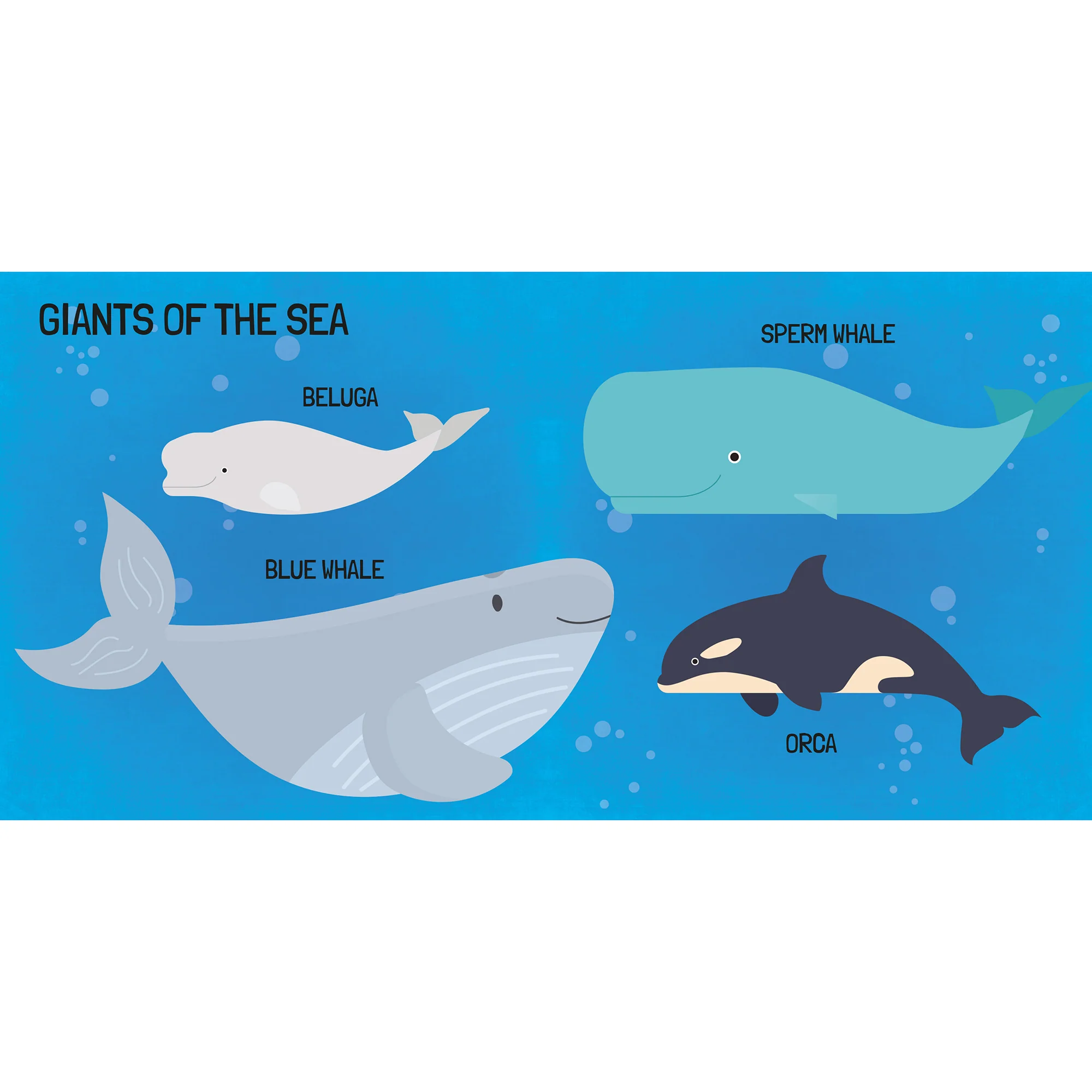 Q-Box Marine Adventure Puzzle Set - 40 pc - Image 5