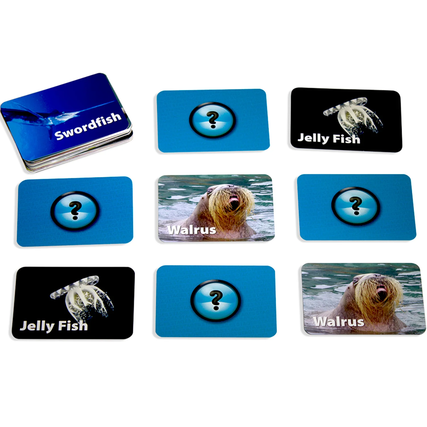 Stages Learning Sea Life Memory Matching Game - Photographic Card Set, Pack of 3 - Image 5