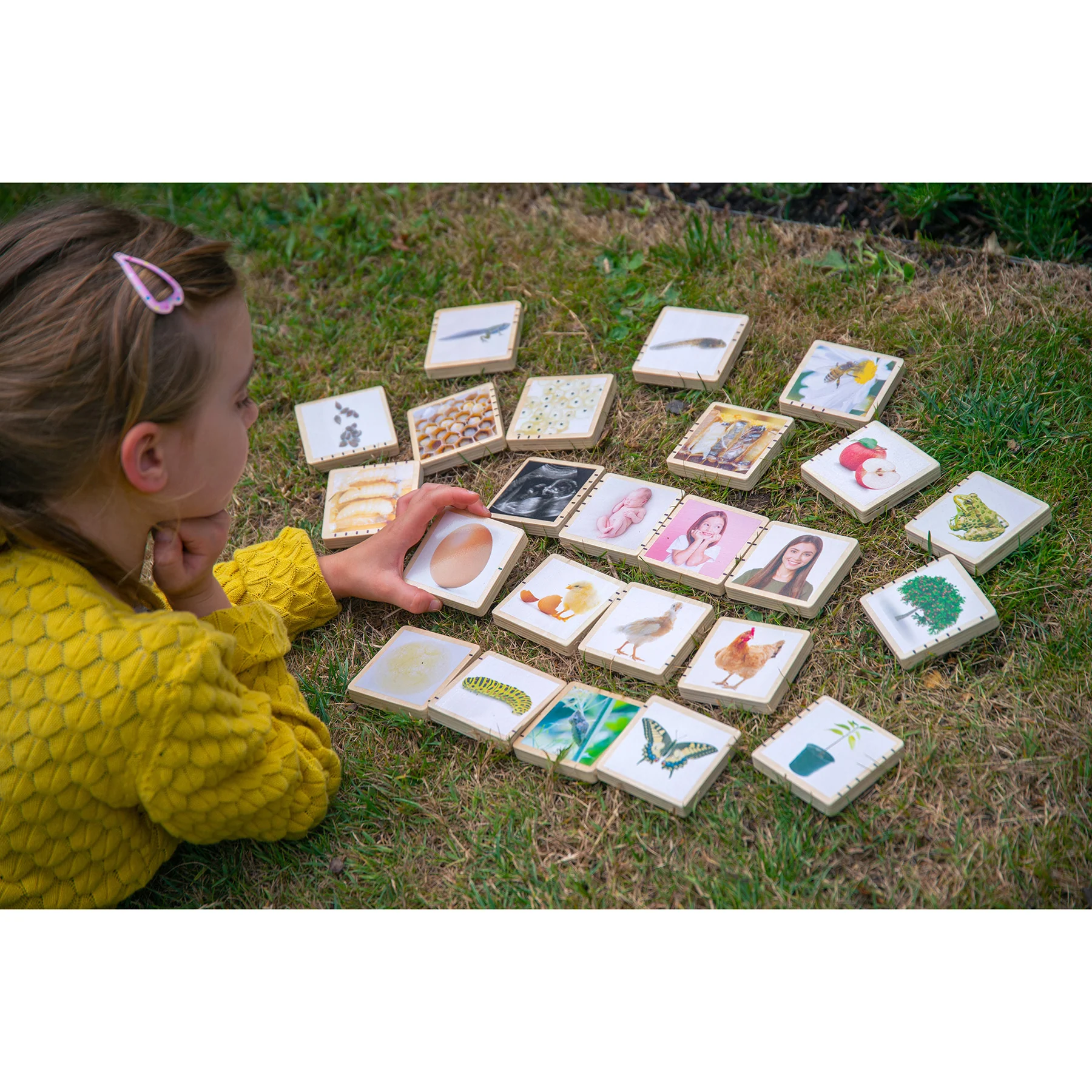 TickiT Wooden Lifecycle Exploration Tiles - Interactive Learning Set - Image 3