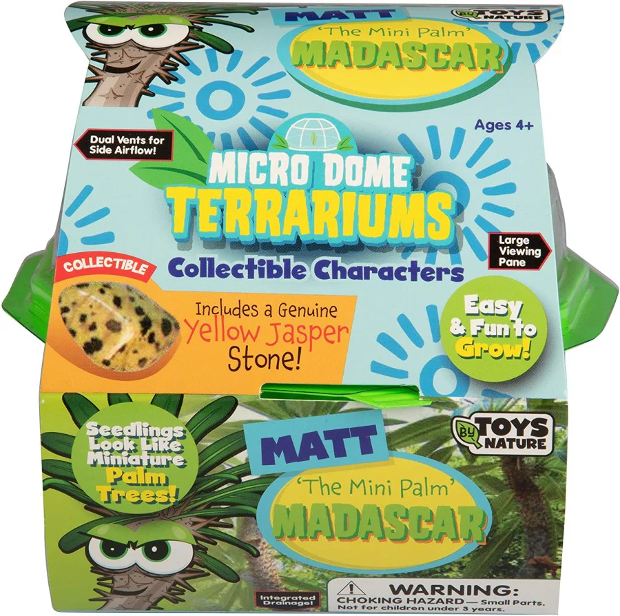 Toys By Nature Matt the Madagascar Mini Palm Terrarium Kit