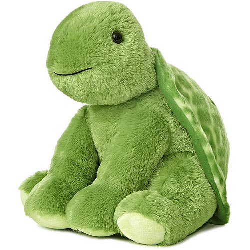 Turtle Promo (2025) Amusing Shell Explorer