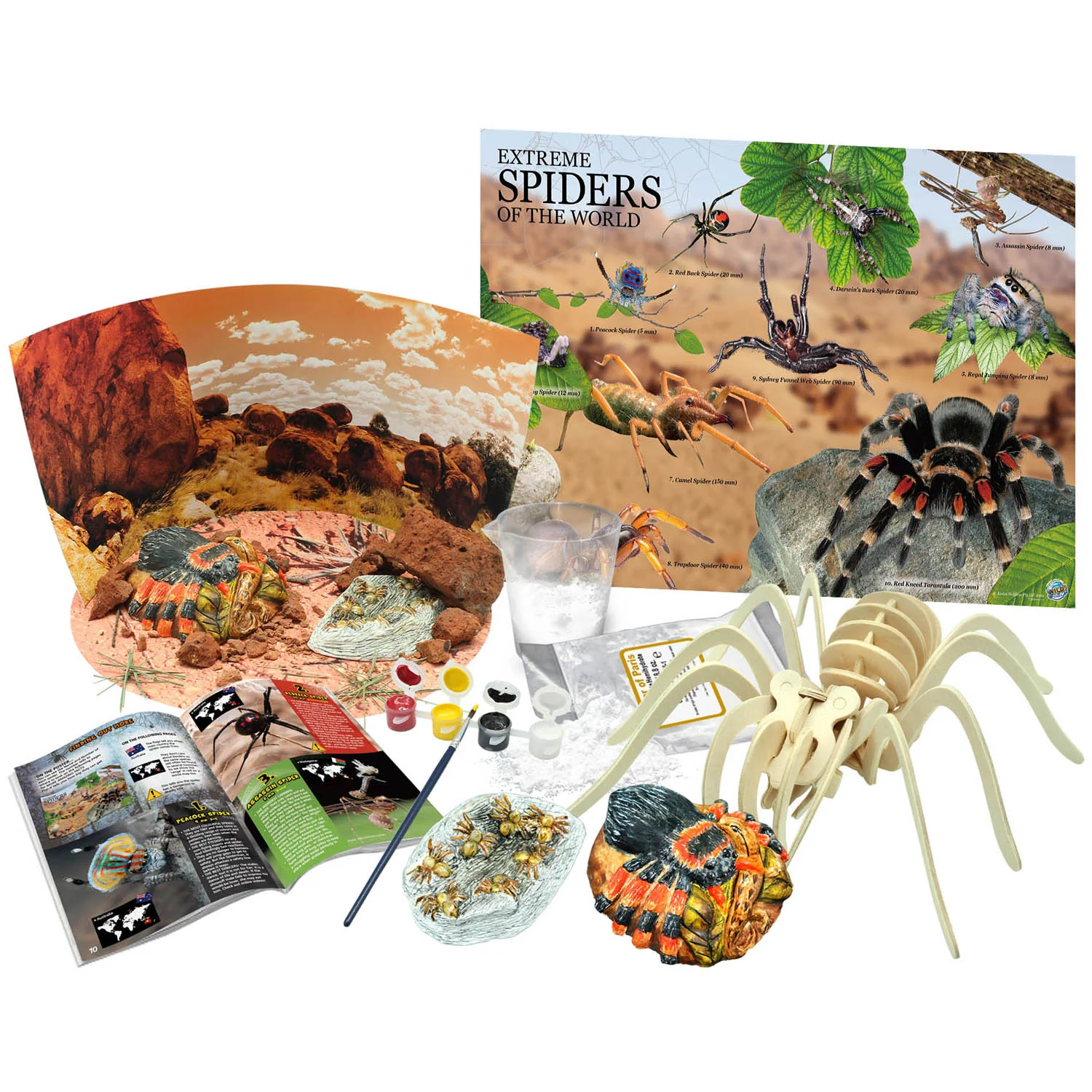 Wild Environmental Science Extreme Spiders Kit - Educational Spider Model Set - Image 2