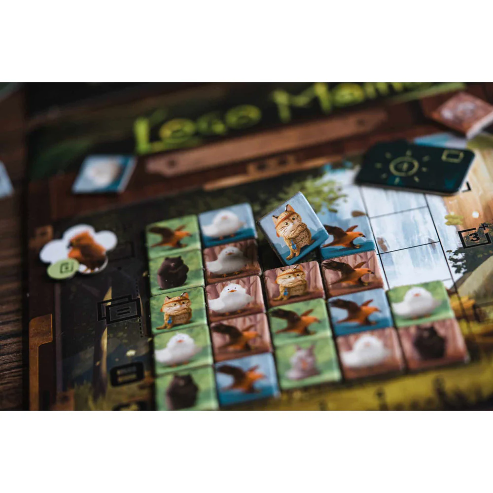 Wonderful World: Loco Momo Captivating Family Card Game, Ages 8+, 1-4 Players - Image 4