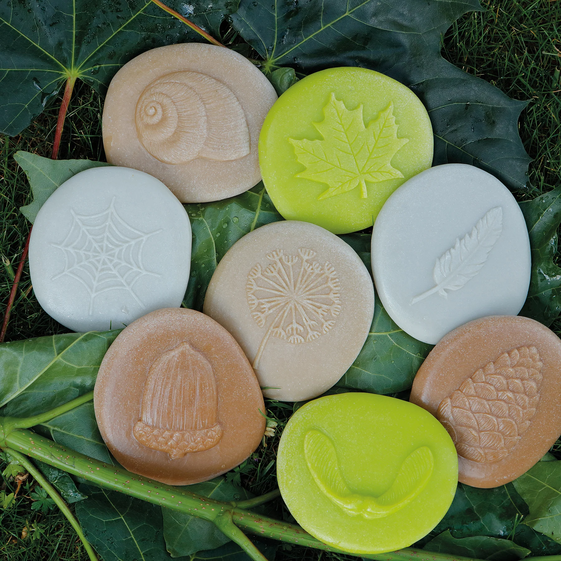 Yellow Door Let's Investigate - Nature Exploration Stone Set - 8 Pieces - Image 3