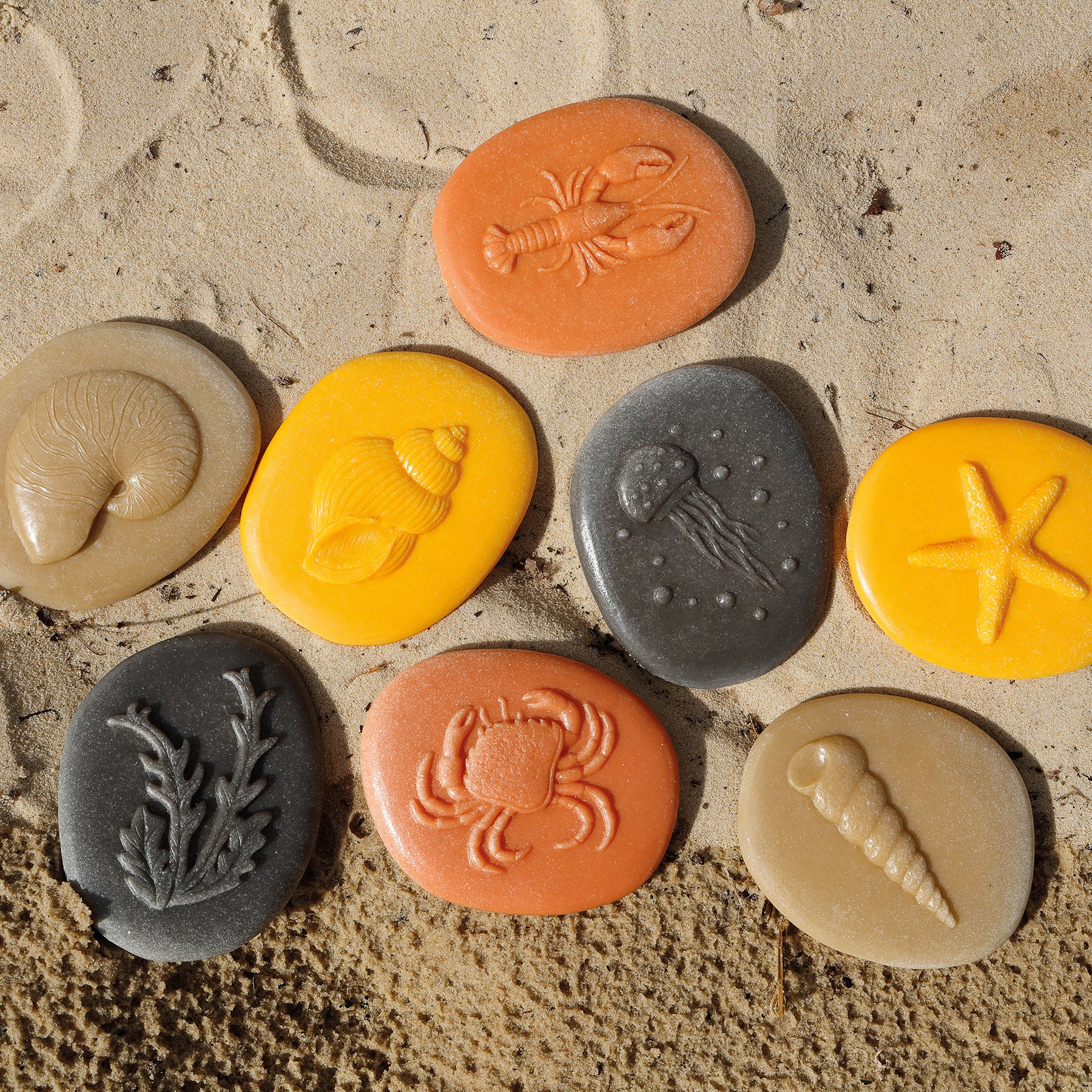 Yellow Door Let's Investigate - Seashore Exploration - Set of 8 Stone Figures - Image 4