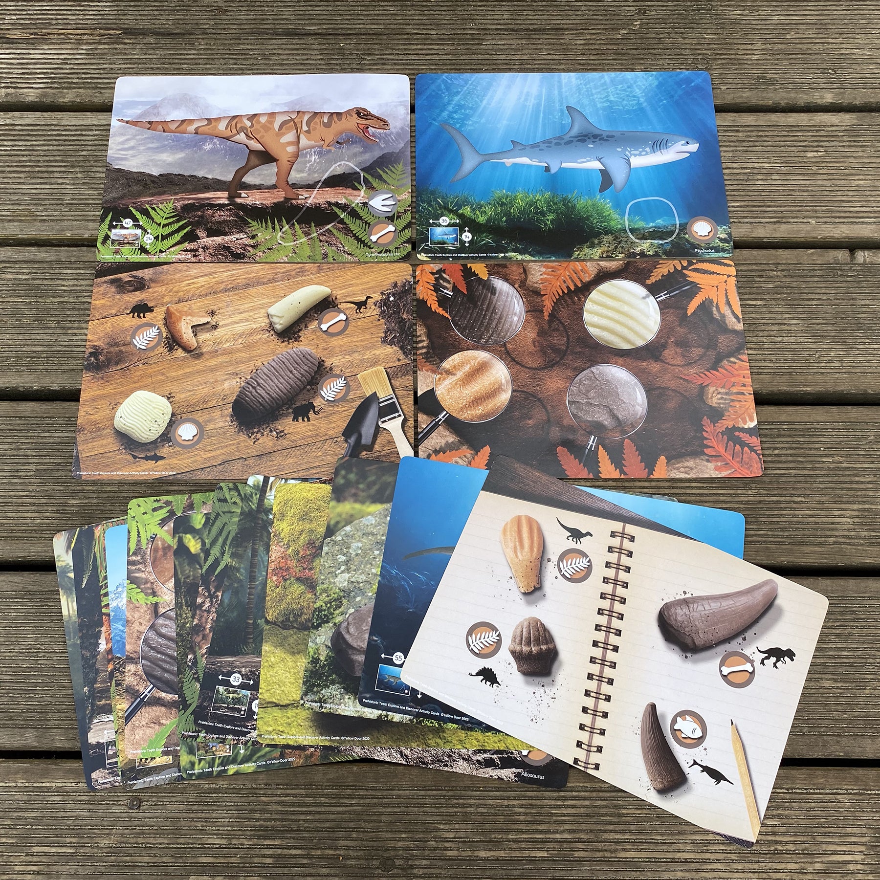 Yellow Door Prehistoric Teeth Activity Cards - Discover Dinosaur Secrets - Set of 16 - Image 3